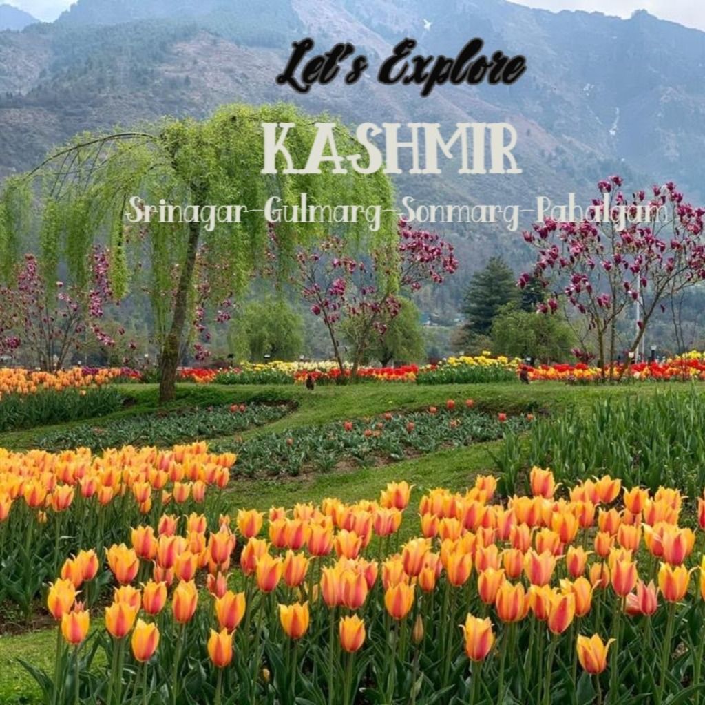 Kashmir